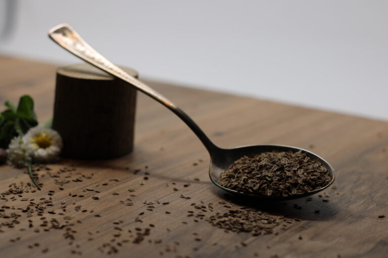 Dill* für Mikrogrün